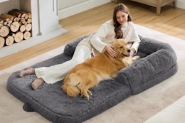 Bedsure 2-in-1 Foldable Human Dog Bed B0F83ZZCNS