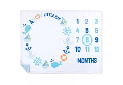 Hudson Baby Milestone Blanket