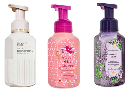 5 Bath & Body Works Hand Soaps