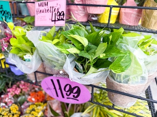 trader-joes-aug-9