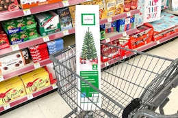 christmas tree box in walgreens cart