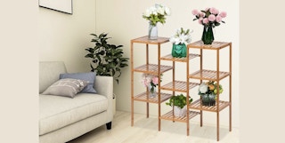 until gone plant stand stock image 2023 1679507726 1679507726