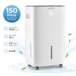 Dehumidifier with Pump