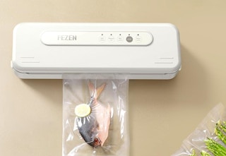 vacuum sealer machine sealing fish
