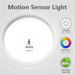 Motion Sensing Ceiling Light