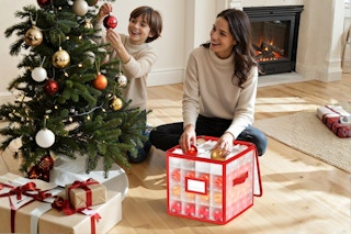 Ornament Storage Box B0FKBC4J56