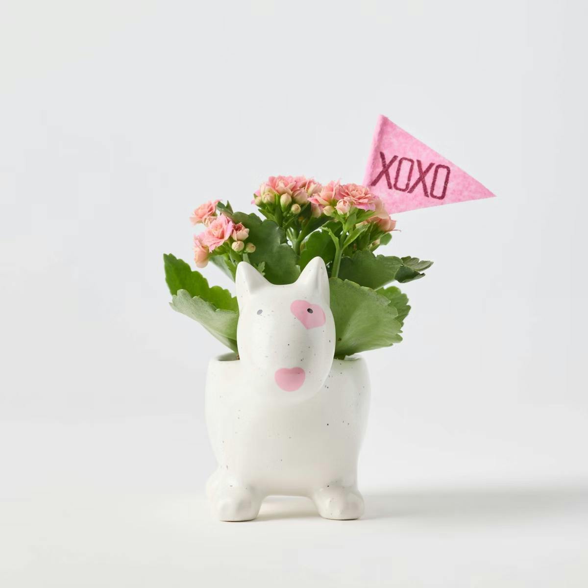 Valentine's Day Bullseye Dog Planter