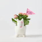 Valentine's Day Bullseye Dog Planter