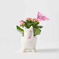 Valentine's Day Bullseye Dog Planter