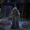 Wicked Woods Animated Witch