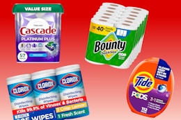 Low Prices on Essentials on Amazon: Clorox, Tide, and More Top Brands card image
