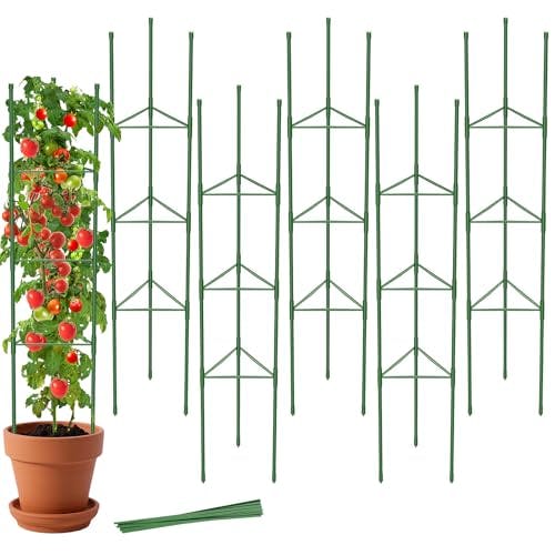 Tomato Cages 6-Pack