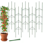 Tomato Cages 6-Pack