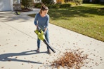 walmart leaf blower set