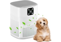 Air Purifier