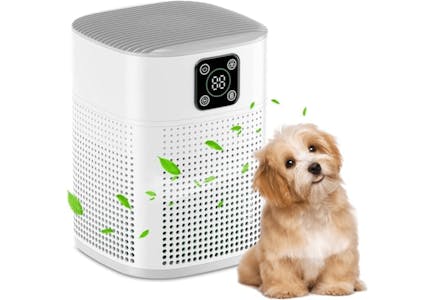 Air Purifier