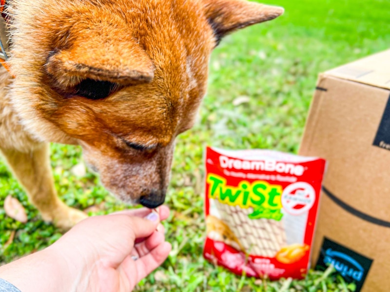 amazon-pet-day-dreambone-twist-sticks-8