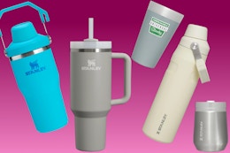 stanley sale