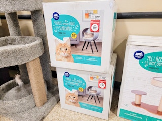 cat furniture on clearance