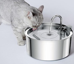 Pet Water Fountain, Only $17.99 on Amazon  card image