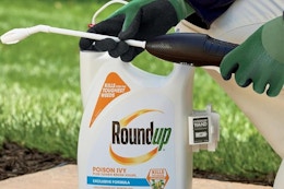 Roundup Poison Ivy Plus Tough Brush Killer, Just $25 on Amazon (Reg. $46) card image