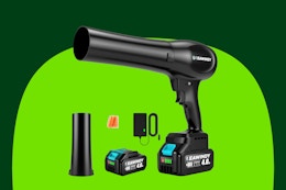 B0FDVHZHT3 leaf blower