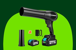 B0FDVHZHT3 leaf blower