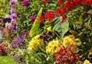 untilgone flowers