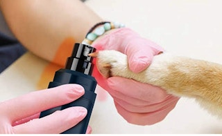 Dog Nail Grinder