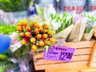 trader-joes-tulips-2