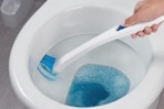 a scotch-brite toilet scrubber