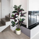 Artificial Rubber Tree