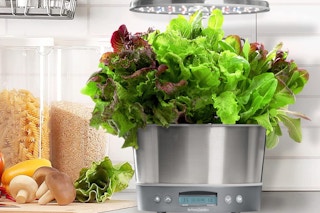 lifestyle image of an aerogarden elite set up on a counter