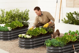 $38 Raised Garden Bed at Target (Reg. $100) card image