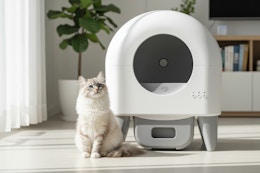 target self cleaning litter box