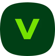 Vulnerability Squircle