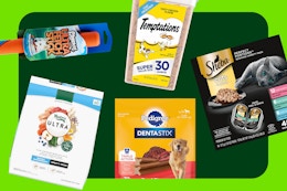 Amazon Dropped a New 50% Off Pet Coupon: Dog Food, Cat Treats, and More card image