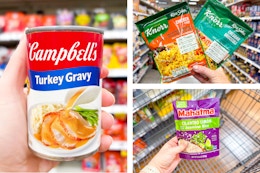 campbells knorr mahatma collage