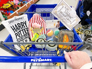 Petsmart-harry-potter-2022-1