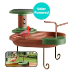 Smart Bird Bath with Camera