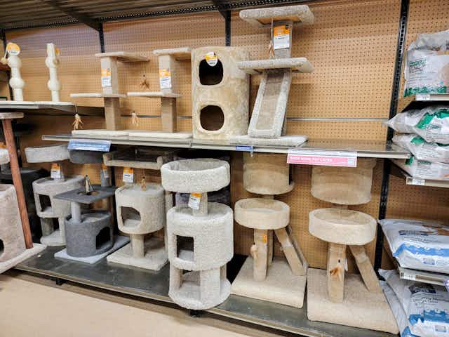 Save Up to 64% on Cat Trees and Scratchers at Petco card image