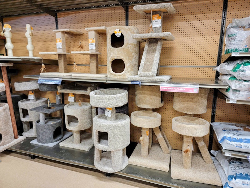 cat trees