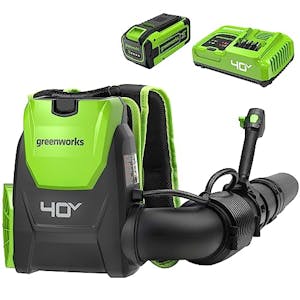 Greenworks Cordless Backpack Leaf Blower
