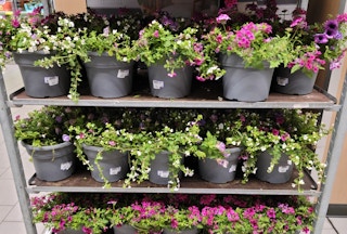 aldi patio planters 2022 sv 1652365181 1652365181