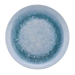 Better Homes & Gardens Dinner Plate