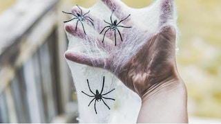 a hand holding a fake spider web and spiders