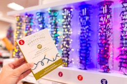 person holding a box of christmas lights in front of the display