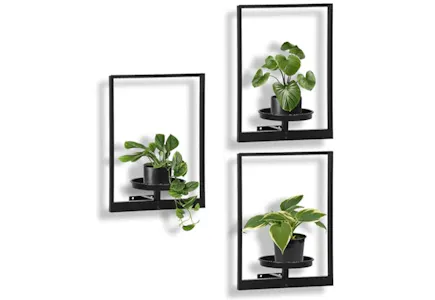 Hanging Plant Stand