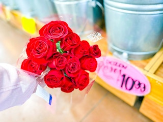 trader-joes-jan-finds-25