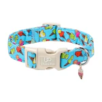 Summer Dog Collar